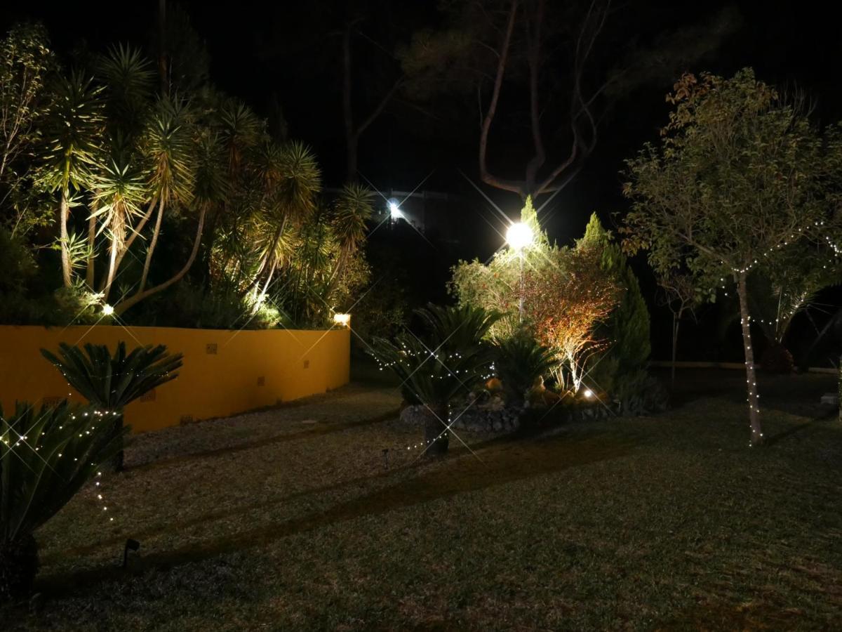 Wonderful Villa, Heated Pool, Near Beautiful Town Alboy Exteriör bild